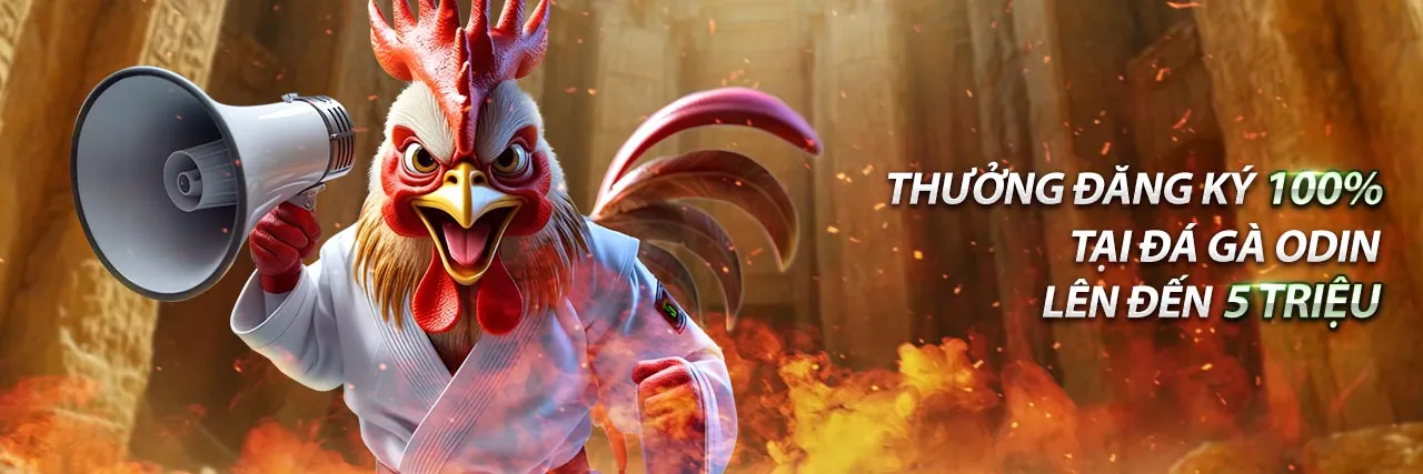 Các trận đá gà trực tiếp kịch tính trên goal123